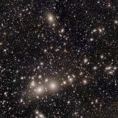 Perseus cluster of galaxies