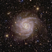 Spiral Galaxy IC 342