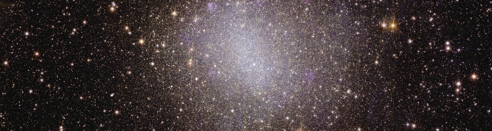 Irregular galaxy NGC 6822