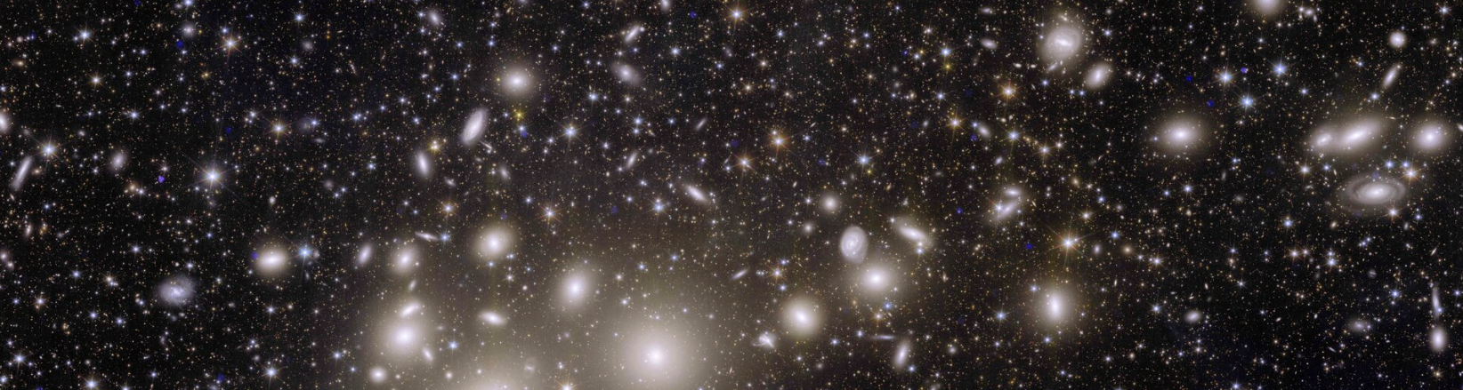 Perseus cluster of galaxies