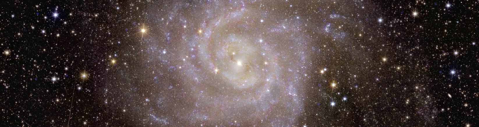 Spiral galaxy IC 342