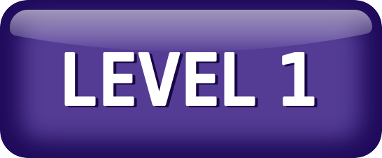 Level 1 Active