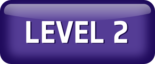 Level 2 Active