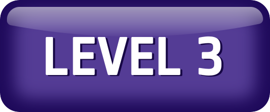 Level 3 Active