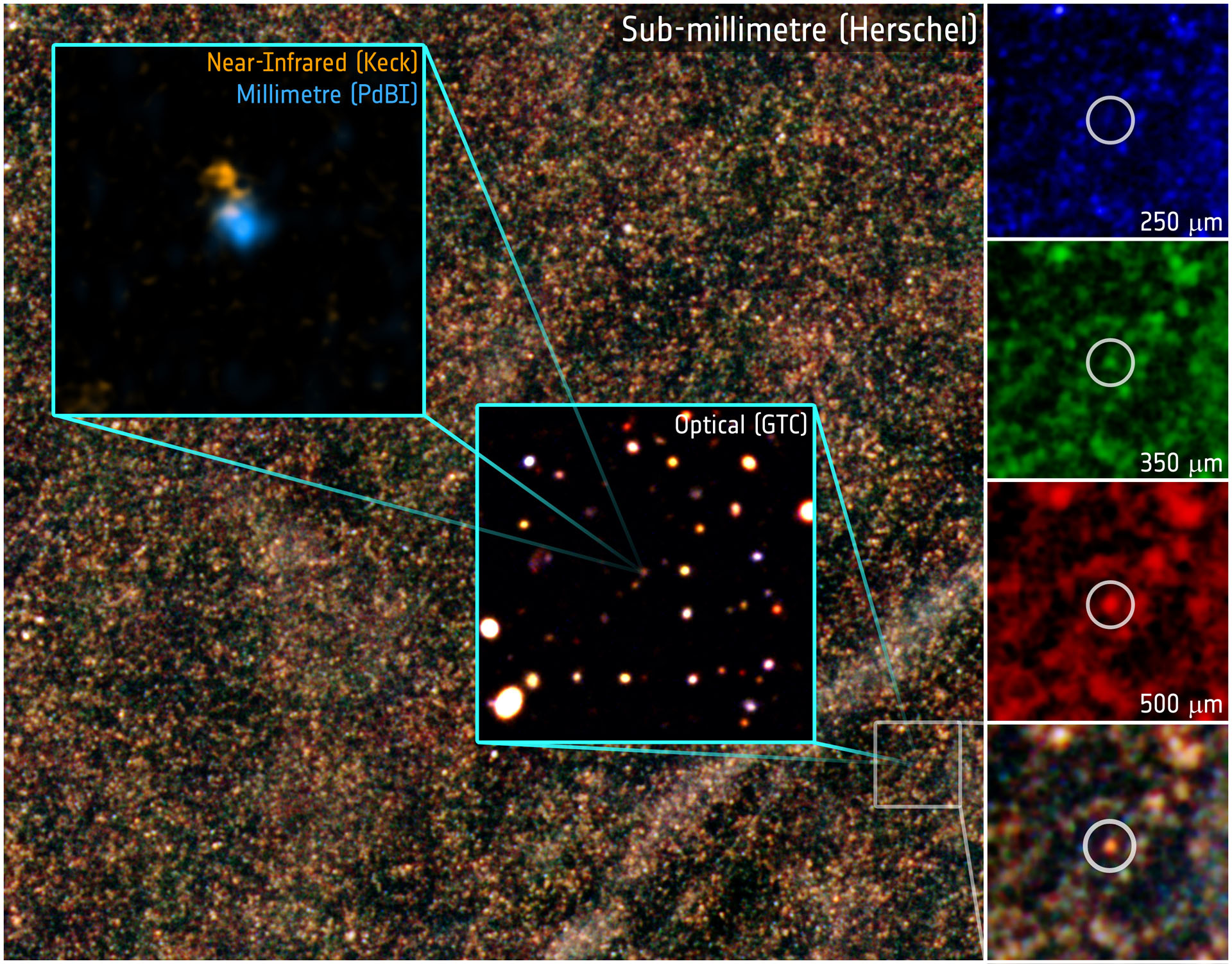 Starburst galaxy HFLS3. Credit: ESA/Herschel/HerMES/IRAM/GTC/W.M. Keck Observatory