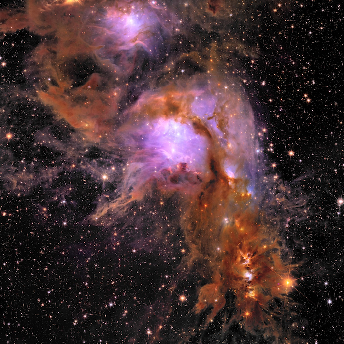 Euclid Early Release Observation of Messier 78, a vibrant nursery of star formation enveloped in a shroud of interstellar dust.