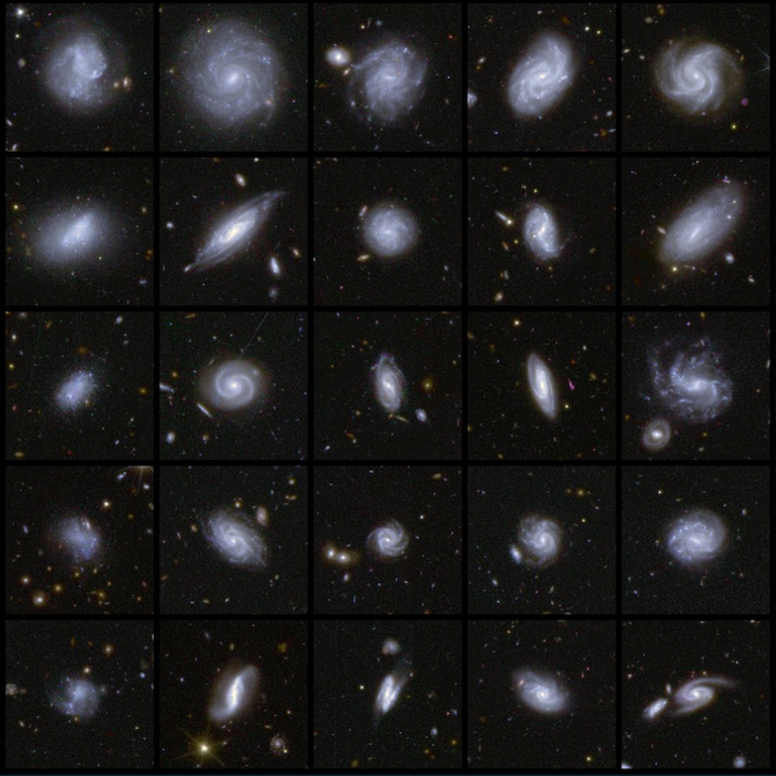 A grid of 25 images of galaxies detected by Euclid