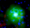 Cosmic_neon_lights 
