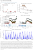 X-ray quasi-periodic eruptions from two previously quiescent galaxies