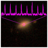 eROSITA witnesses the awakening of massive black holes