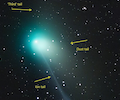 curious_comet_s_rare_close_approach